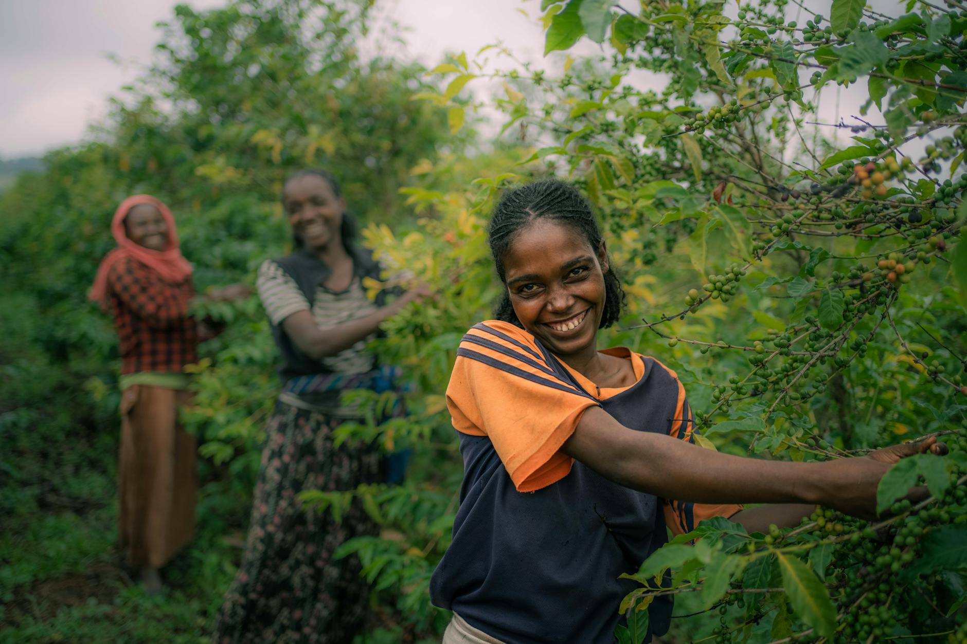 Ethiopian coffee farmer in heritage highlands